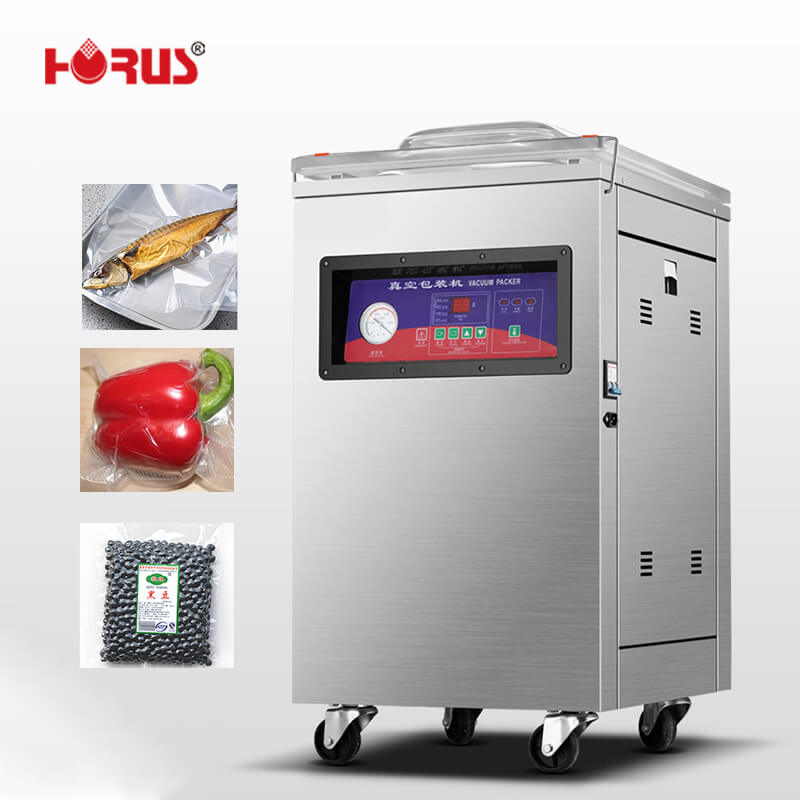 Dz500 Single Door Vacuum Sealer Packing Machine